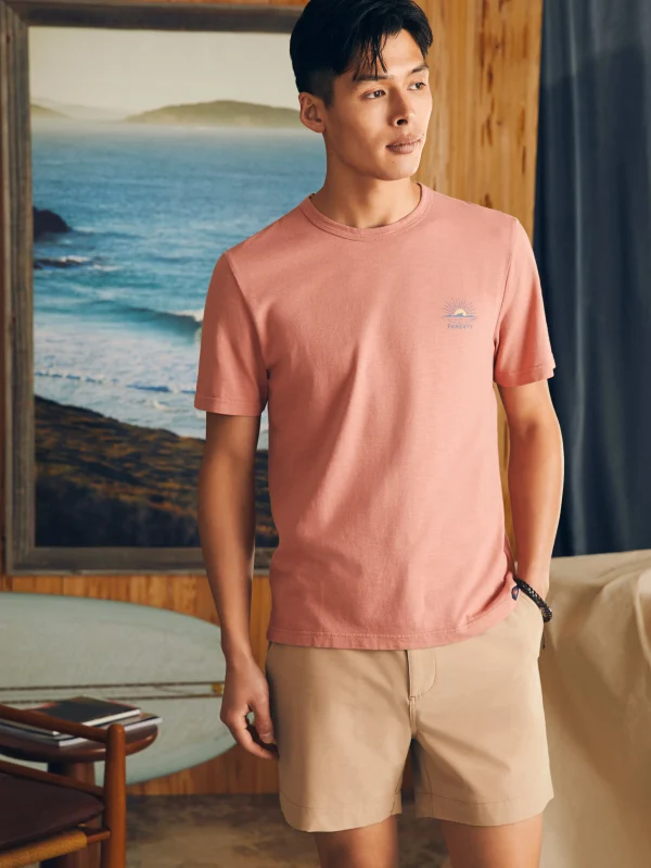 T-Shirts & Henleys | Faherty Brand Sunwashed Graphic Tee - Faded Flag